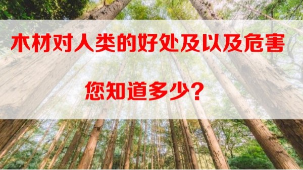 深圳装修公司之木材对人类的好处以及危害您知道多少？